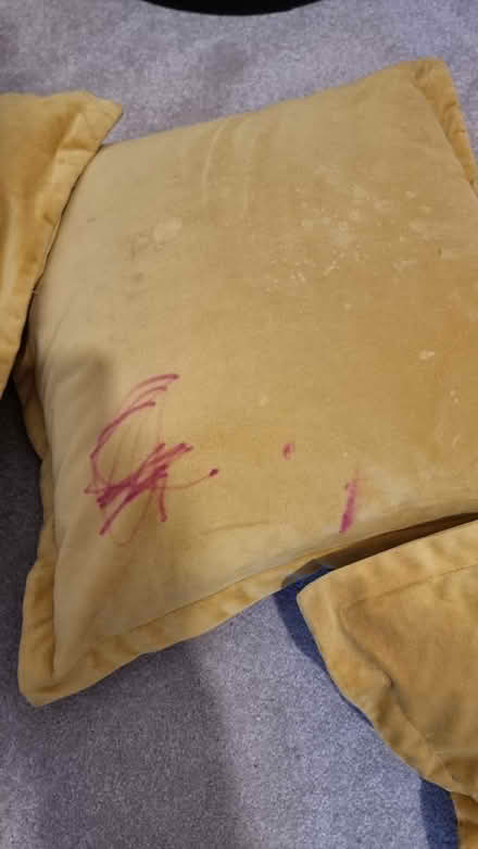 Photo of free Light shades and cushions (Manchester M14) #3