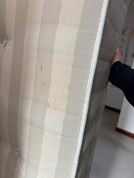 Photo of free Single mattress (Hassocks BN6) #4