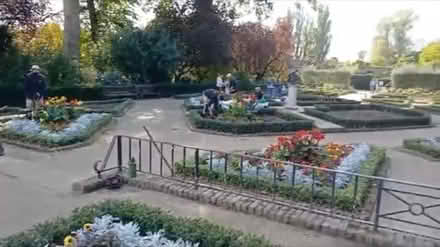 Photo of free Flowers planted being taken out (Holland park) #3