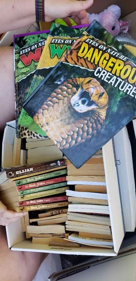 Photo of free Teaching Materials (Haller Lake/Ingraham (N Sea)) #3