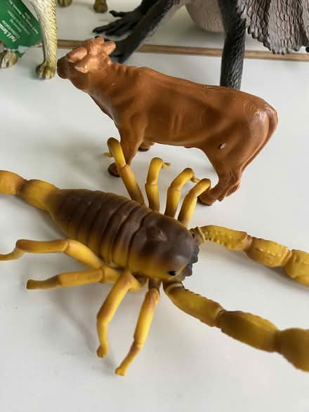 Photo of free Variety of animal models (Nr Fresh Pond & Mt Auburn Cem.) #2