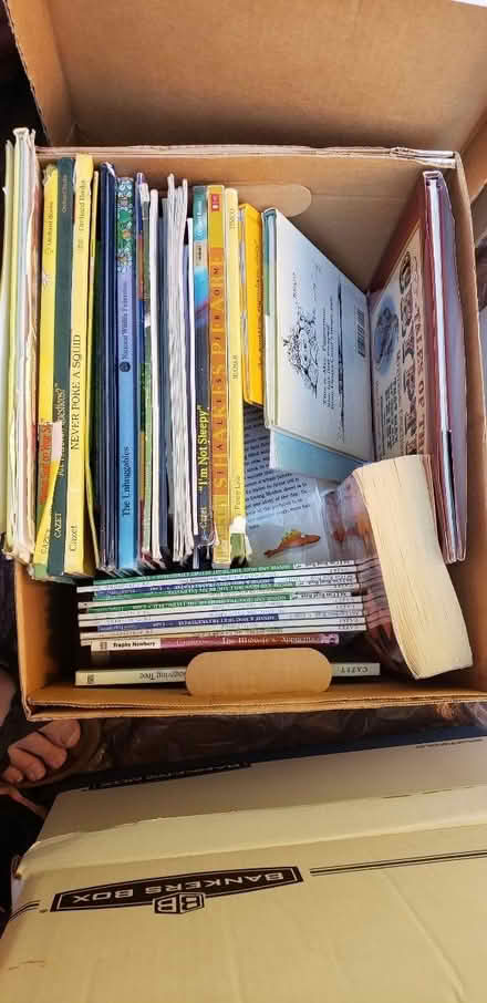 Photo of free Teaching Materials (Haller Lake/Ingraham (N Sea)) #2