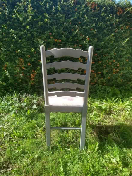 Photo of free Six chairs (Raveningham NR14) #2