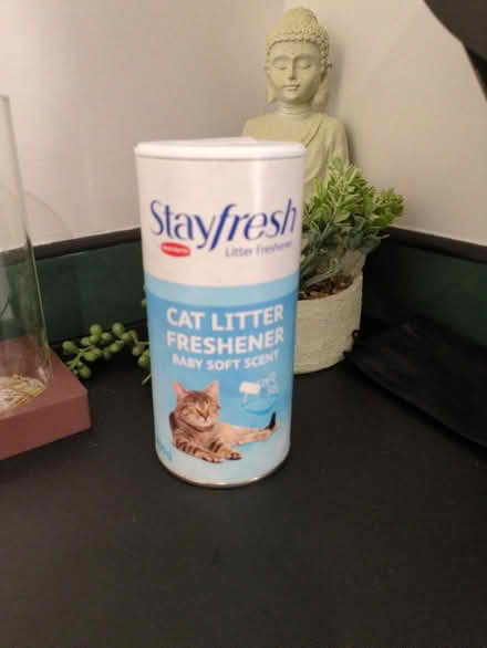 Photo of free Cat litter refreshener powder (Chatham ME5) #1