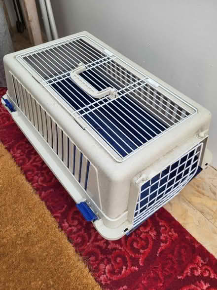 Photo of free Cat basket (Clive Vale TN35) #1