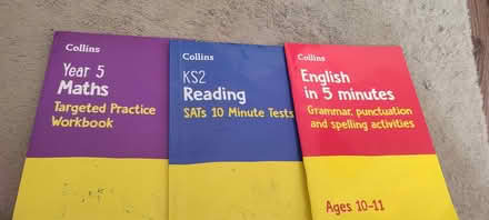 Photo of free year 5 books and SATS (Walton) #1