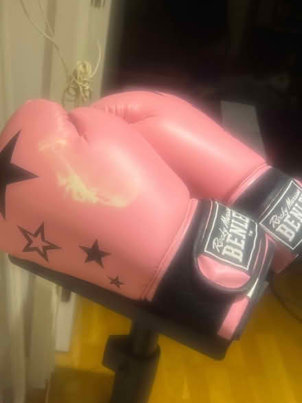 Photo of free Pink boxing gloves (Dan N15) #1