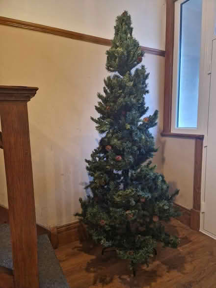 Photo of free Large Christmas Tree with pinecones (Wallasey) #1