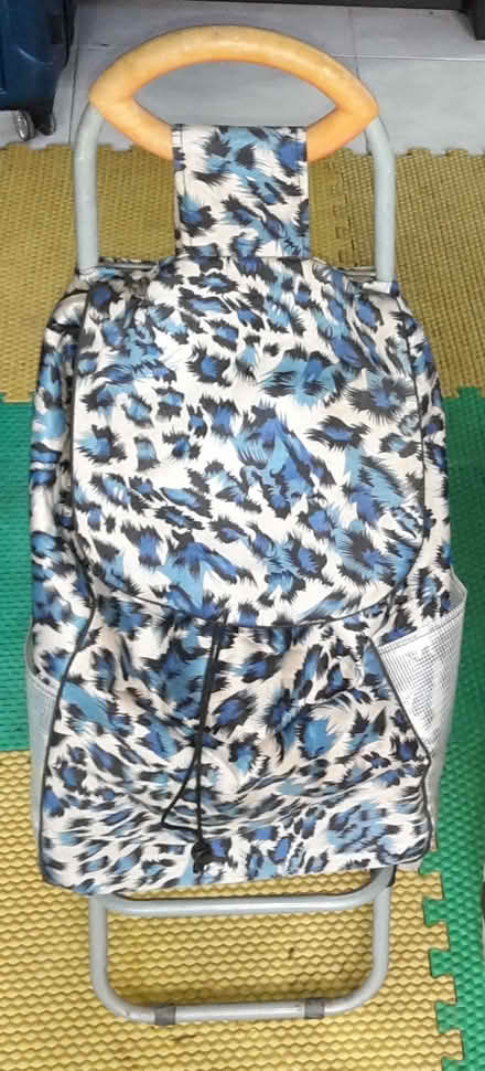 Photo of free Shopping Trolley Bag (Queenstown, near MRT) #1