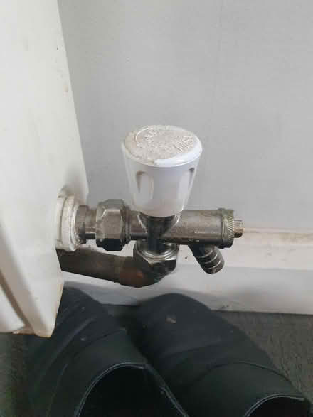 Photo of Radiator Caps (Sandwell DY4) #2