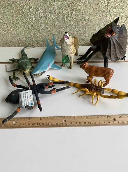 Photo of free Variety of animal models (Nr Fresh Pond & Mt Auburn Cem.) #1