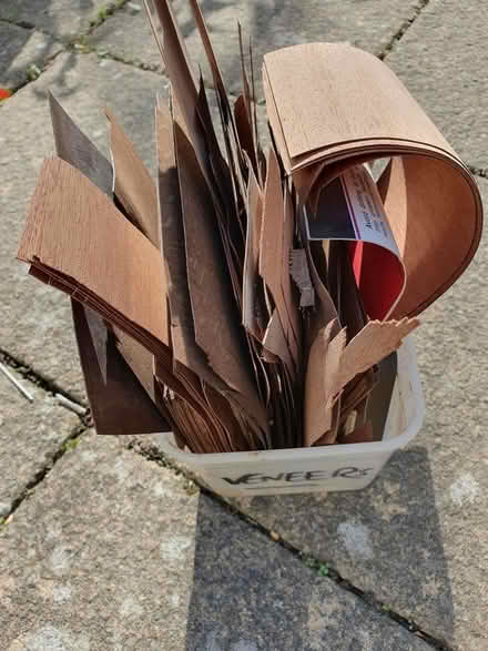 Photo of free Wood veneers (Ipswich, IP4) #1
