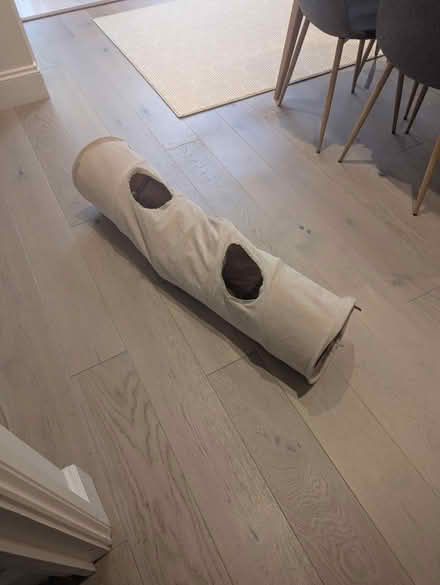 Photo of free Collapsible cat tunnel (OX4 Boulter Street) #3