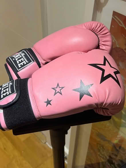 Photo of free Pink boxing gloves (Dan N15) #2