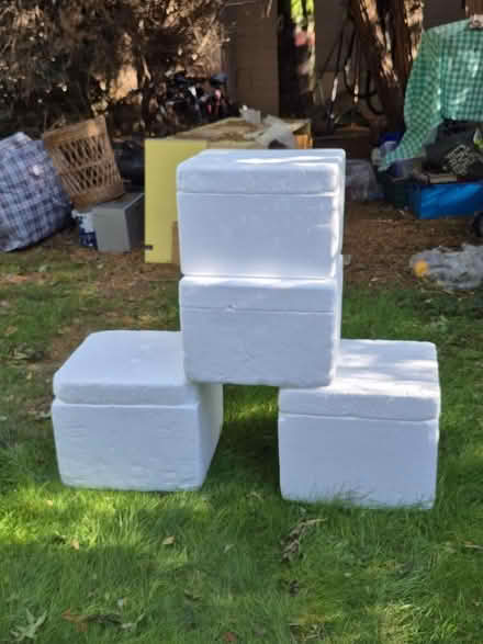 Photo of free Polystyrene boxes with lids (Bernards Heath AL3) #1