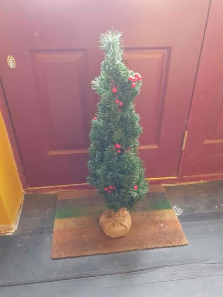 Photo of free Small Xmas tree (CT8) #1