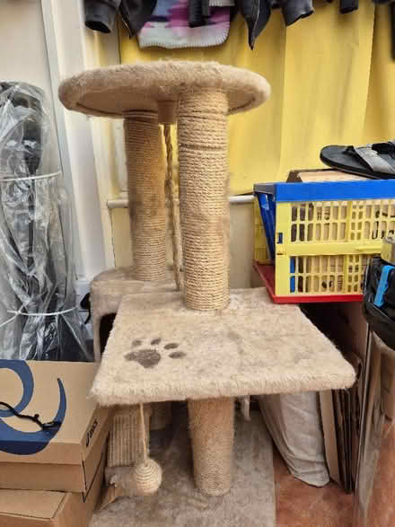 Photo of free Cat tree (Bernards Heath AL3) #2