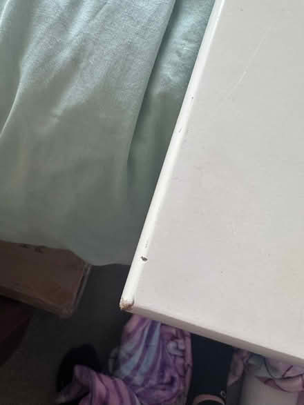 Photo of free White Wooden Double Bed Frame (DA13) #3