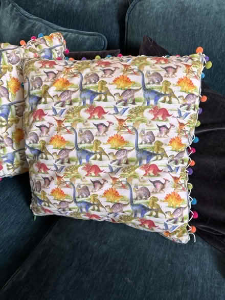 Photo of free 2 Dinosaur cushions (Lordswood ME5 8) #1