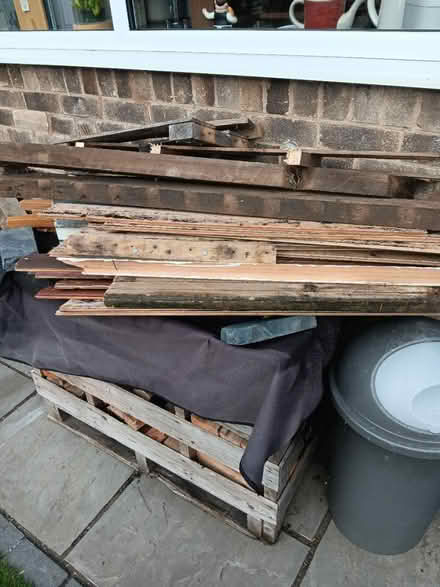 Photo of free firewood (Wollaton ng8) #4