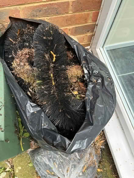 Photo of free ‘Hedgehog’ Gutter Guard (CT21) #2