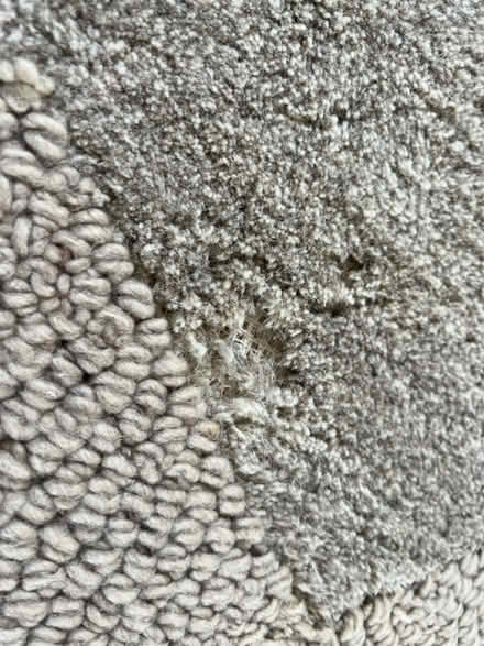 Photo of free Natural wool rug 8x10ft (Twickenham TW2) #2