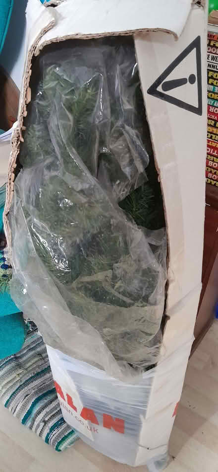 Photo of free Boxed Christmas Tree (Buxted TN22) #1