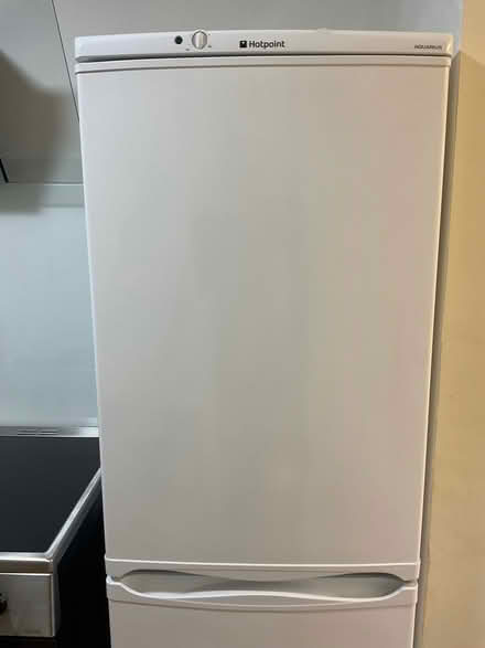 Photo of free Fridge freezer (Ashton Green BN8) #3