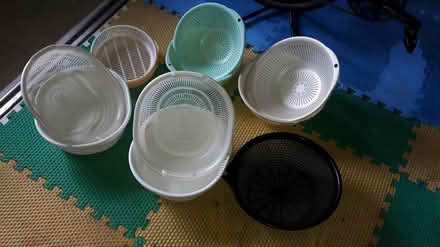 Photo of free Plastic Strainer/Collander Bowls (Queenstown, near MRT) #1