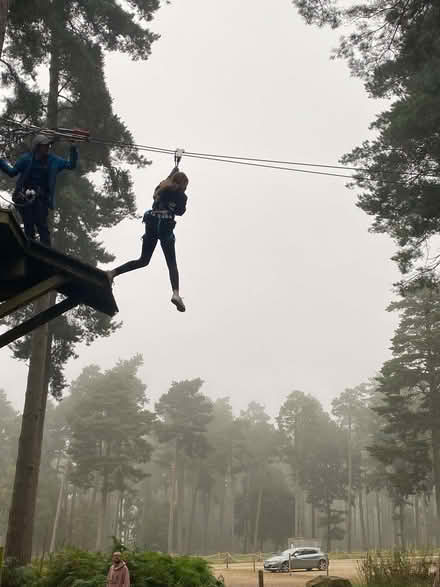 Photo of free New wood chippings (Cannock Wood WS15) #1