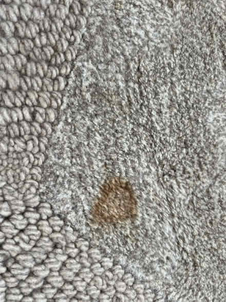 Photo of free Natural wool rug 8x10ft (Twickenham TW2) #3