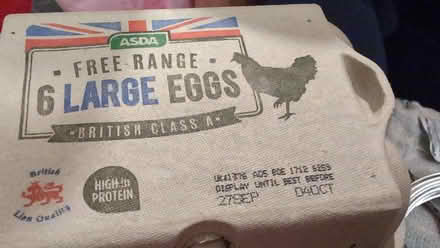 Photo of free Eggs (Braithwaite BD22) #2