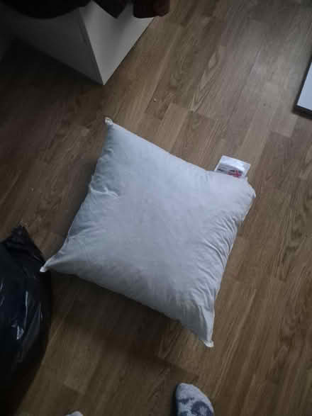 Photo of free Bag of pillows (Streatham) #1
