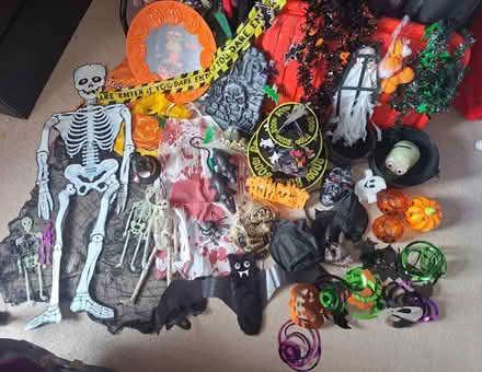 Photo of free Halloween decorations and accessories (Seaside BN22) #1