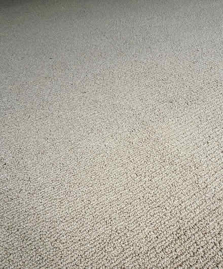 Photo of free Large beige carpet piece (Pt Richmond) #2