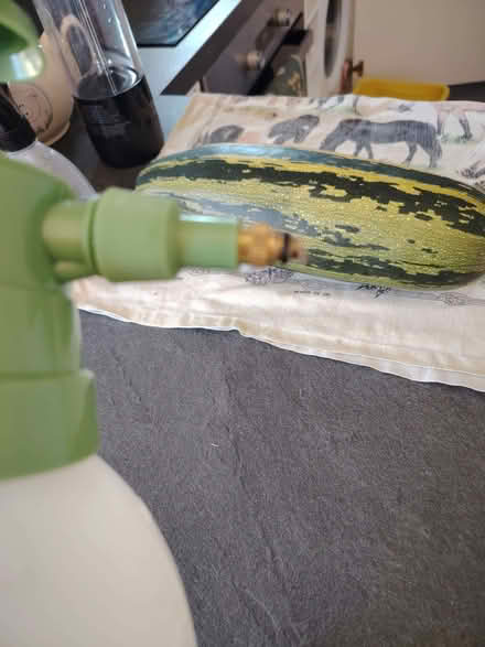 Photo of free Water sprayer end nozzle missing (Fazakerley L11) #2