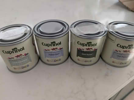 Photo of free Outdoor garden paint samples (Weybridge) #1