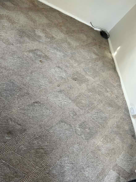 Photo of free Natural wool rug 8x10ft (Twickenham TW2) #1