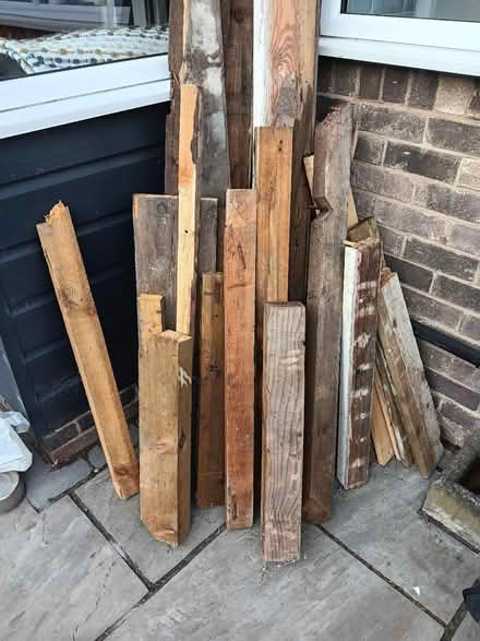 Photo of free firewood (Wollaton ng8) #1