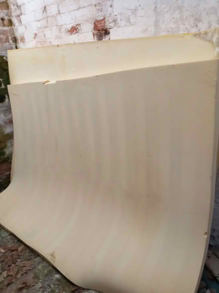 Photo of free Foam Sponge (Plymtree) #1