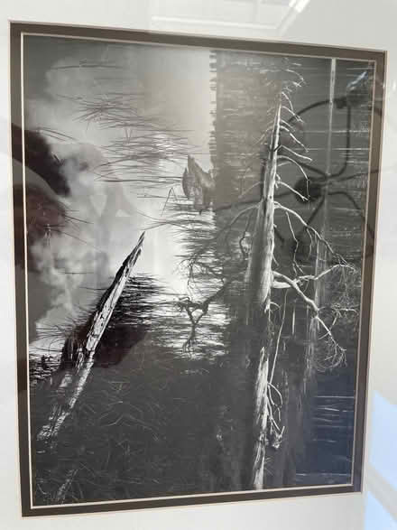 Photo of free Ansel Adams print (Santa Rosa, Wikiup) #2