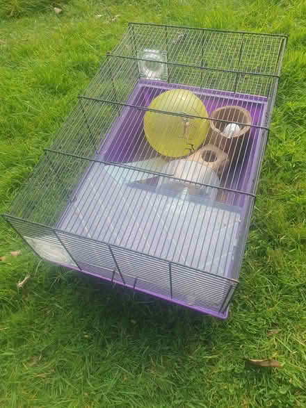 Photo of free Gerbilarium/ hamster home (Freckleton PR4 1) #3