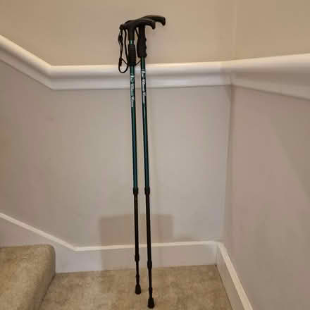 Photo of free Two Metal Walking Canes (Broadbridge Heath, RH12) #2