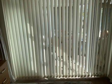 Photo of free Vertical blinds (Rose Green PO21) #3