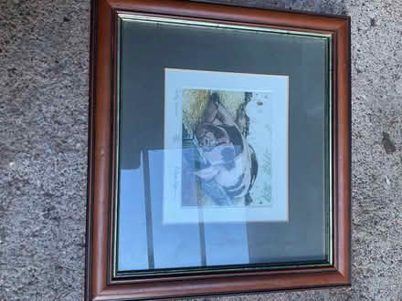 Photo of free Two signed animal prints (Minehead) #2