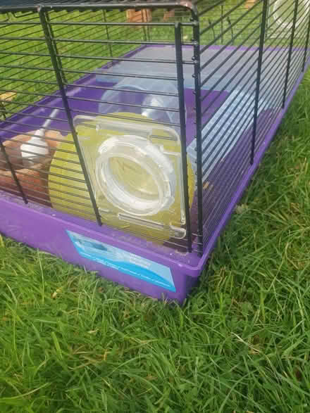 Photo of free Gerbilarium/ hamster home (Freckleton PR4 1) #2