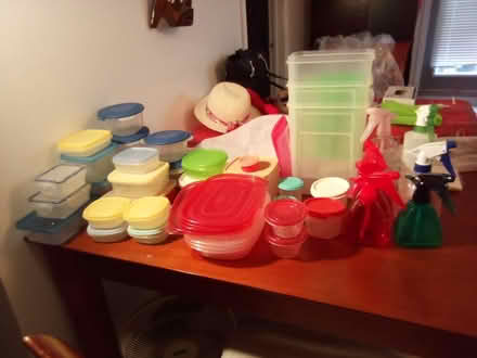 Photo of free food storage containers (elmira and willow) #2