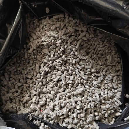 Photo of free Recycled Paper Litter (New Town CO1) #1