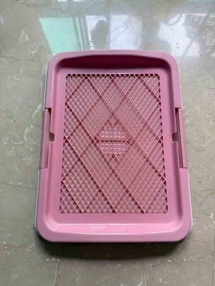 Photo of free Pee tray for dog. Medium size (Ghim Moh) #1