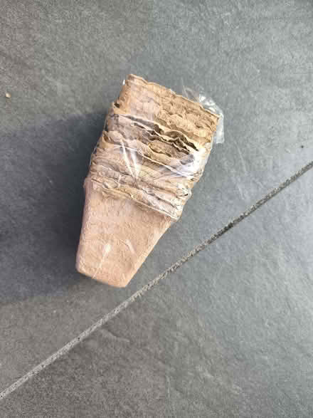 Photo of free Flower pots (Southend SS2) #1